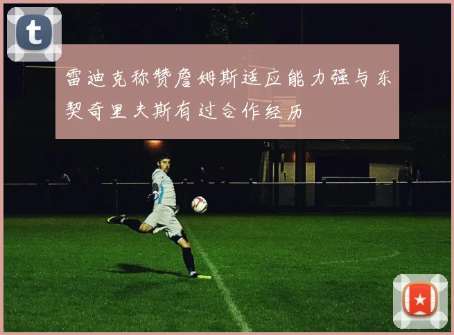雷迪克称赞詹姆斯适应能力强与东契奇里夫斯有过合作经历