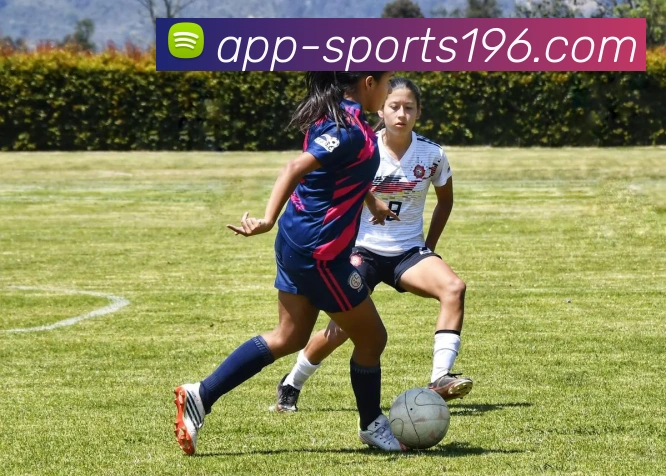 196体育品牌故事