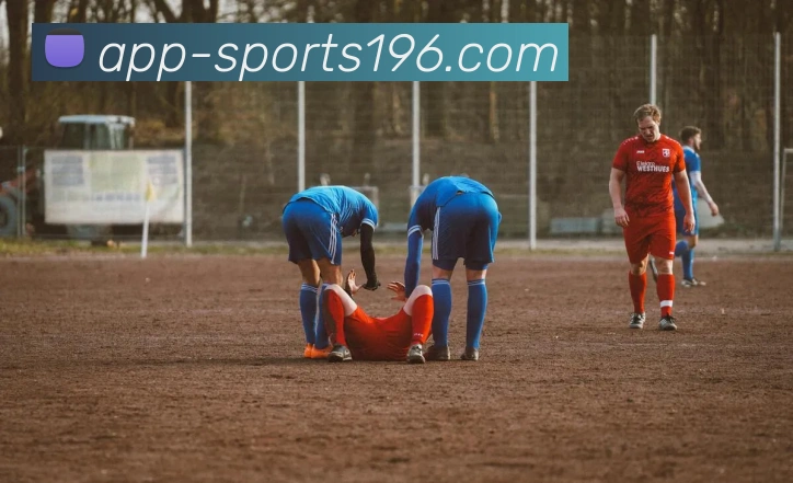 196体育服务体系